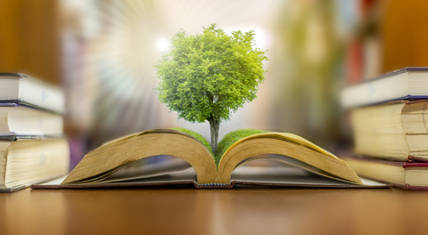 Tree growing out of book