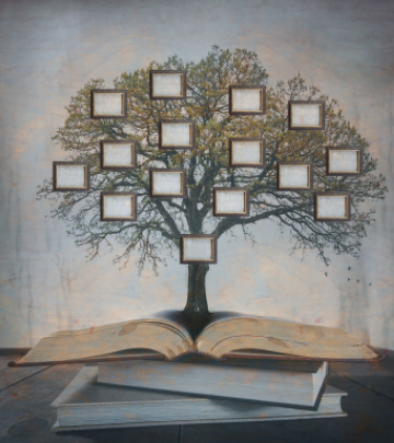 family tree growing out of open book