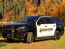 police vehicle in fall