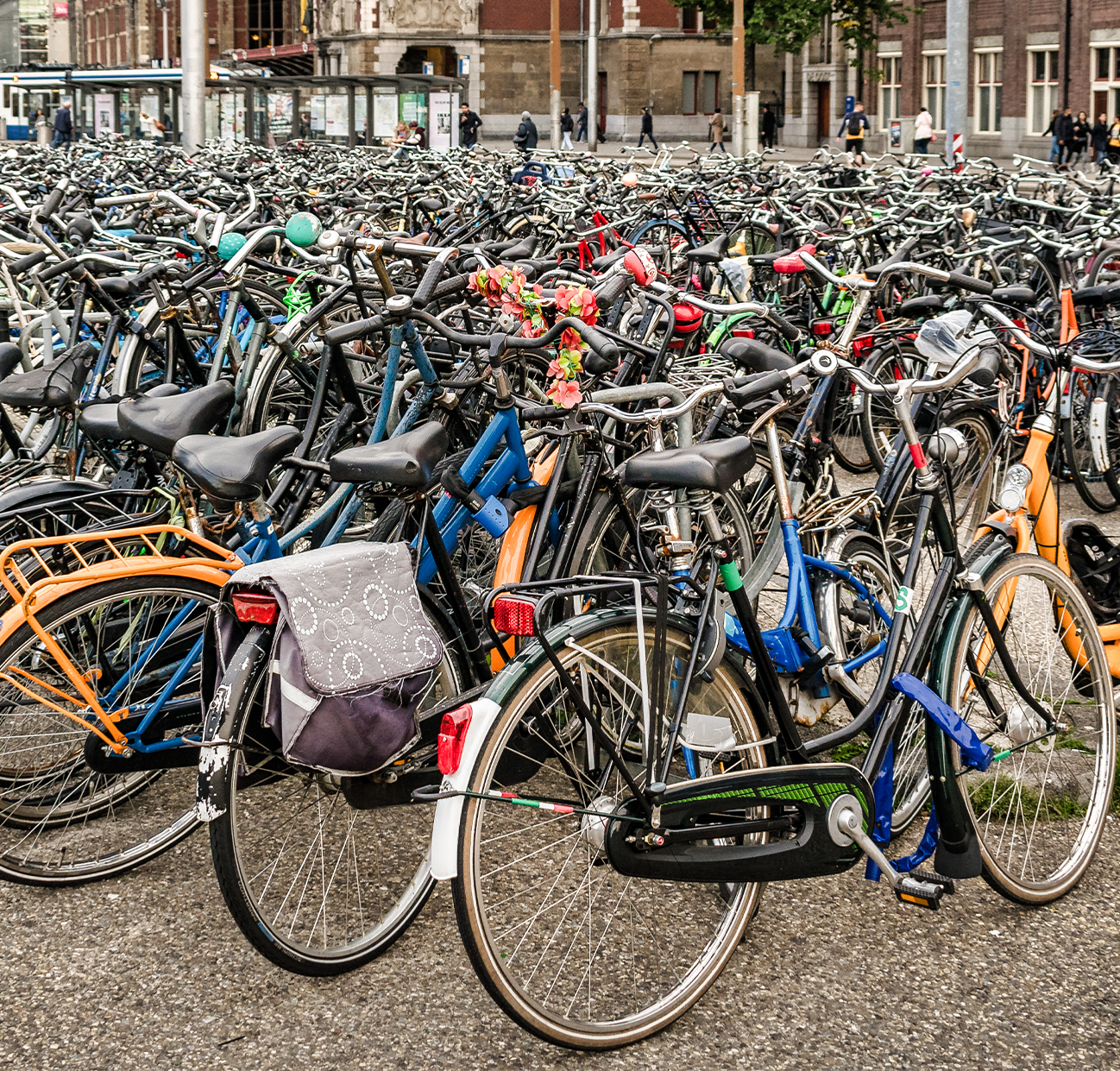 Hundreds of locked up bicycles