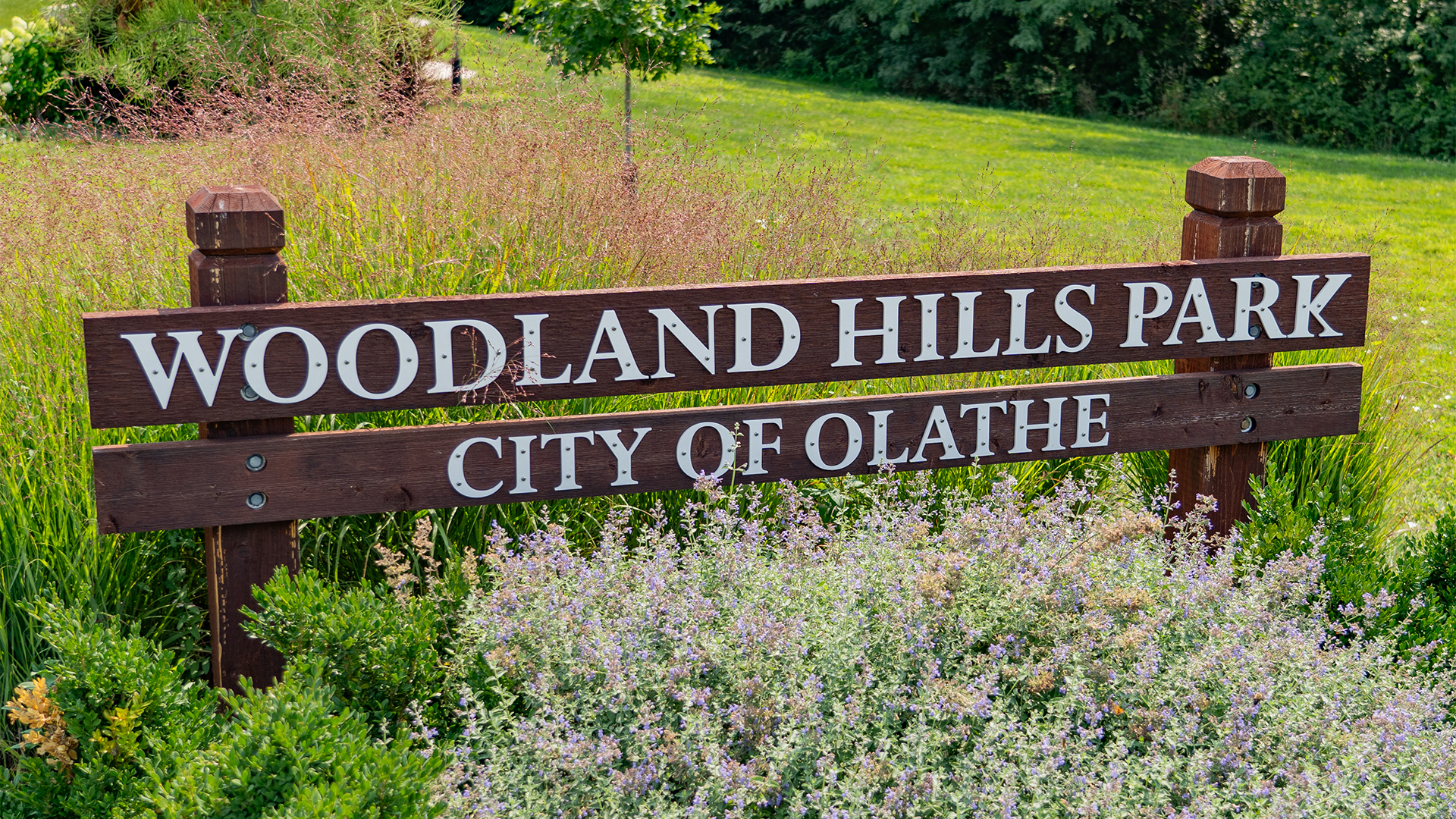 Wooden sign that states "Woodland Hills Park" and "City of Olathe" with plants surrounding it