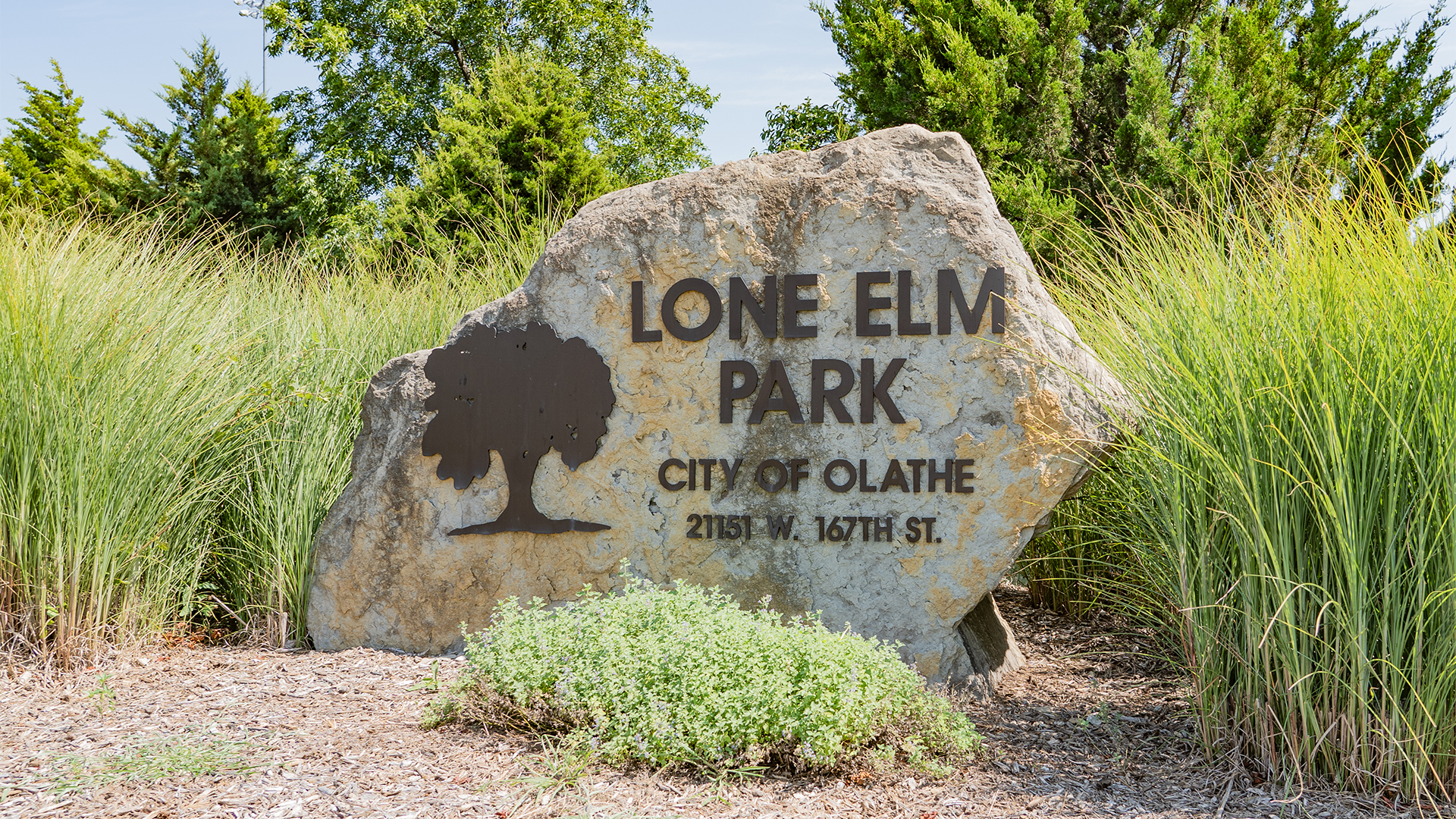 Stone sign that states "Lone Elm Park," "City of Olathe," and "21151 W 167th St."