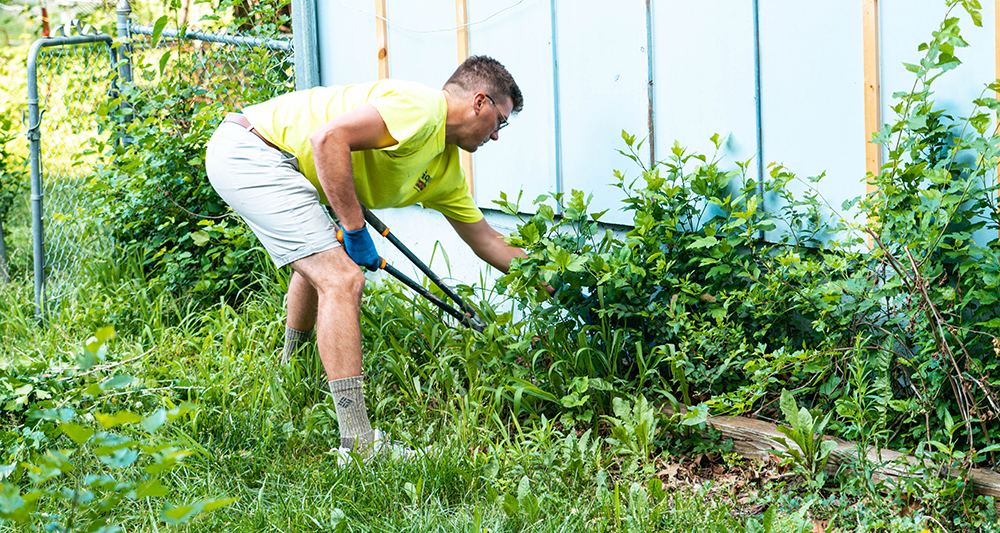 man clearing weeds