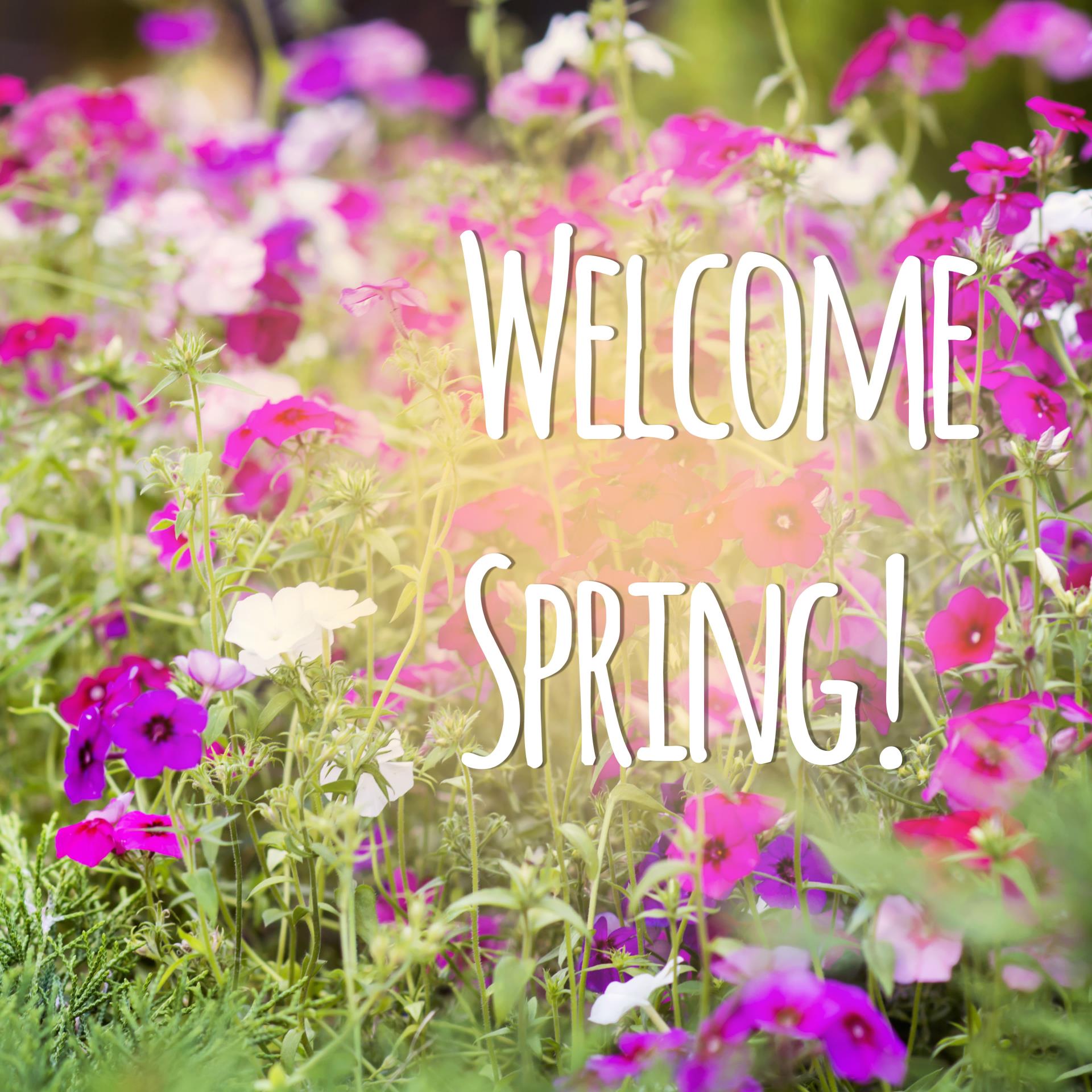 welcome spring