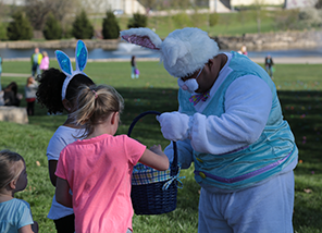 joey the bunny