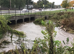 flooded river