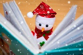 snowman reading